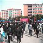 <b>IT人才供需洽談會(huì)：100多家企業(yè)，“職”為新華</b>