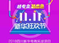 <b>越專業(yè)，越出色|嗨爆雙十一！四川新華電腦學(xué)院電商合作項目突破1億！</b>