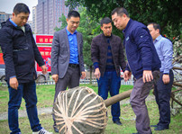 <b>植樹(shù)節(jié)，在夢(mèng)想的地方栽下希望的綠色！</b>