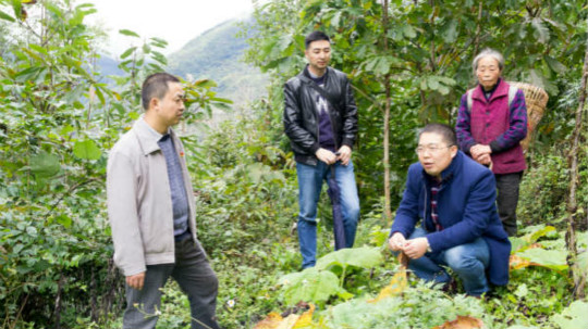 <b>新華教師奮進(jìn)擔(dān)當(dāng)，用技能脫貧托舉希望</b>