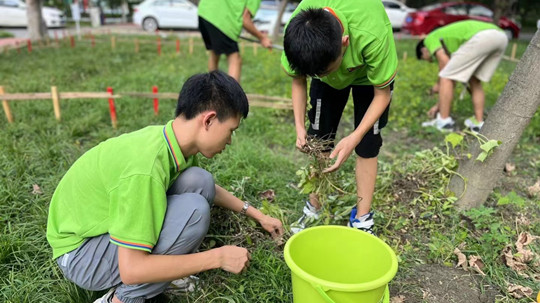 <b>豐收季來襲！新華農(nóng)場喜迎豐收季~</b>