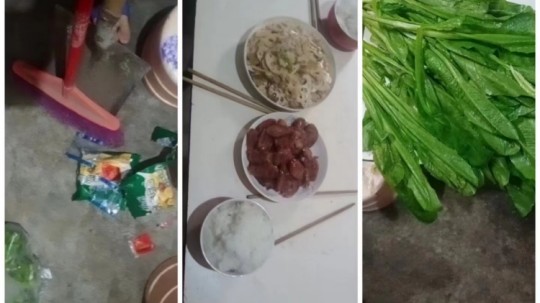 <b>2023，我家年味我來守護(hù)</b>