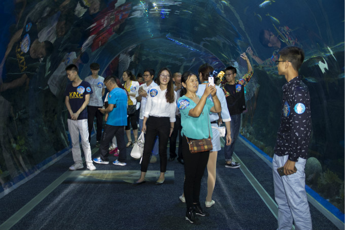 夏令營(yíng)第二季，新華學(xué)子一起遨游海洋王國(guó)