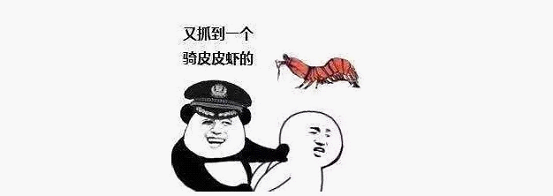 最近刷屏的“皮皮蝦”你知道是什么梗嗎？來，走起