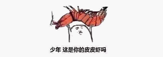 最近刷屏的“皮皮蝦”你知道是什么梗嗎？來，走起