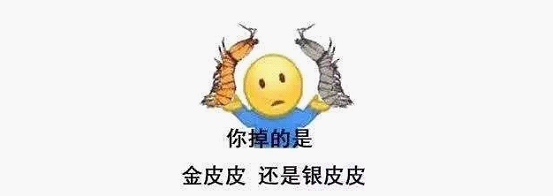 最近刷屏的“皮皮蝦”你知道是什么梗嗎？來，走起