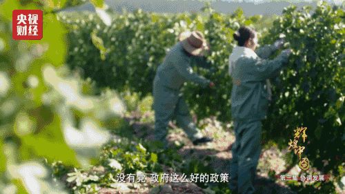 喜迎十九大，國力強盛人民歡慶