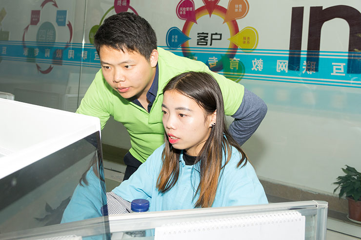 嗨爆雙十一！四川新華電腦學(xué)院助力水星家紡?fù)黄?.29億