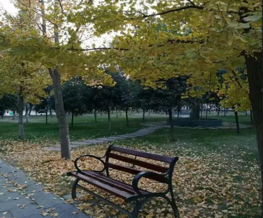 熱烈祝賀四川新華電腦學院榮獲“我與新華共成長”主題征文一等獎