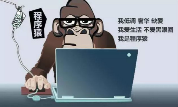 互聯(lián)網(wǎng)大佬大多是程序員出身，你不懂程序“猿”的快樂