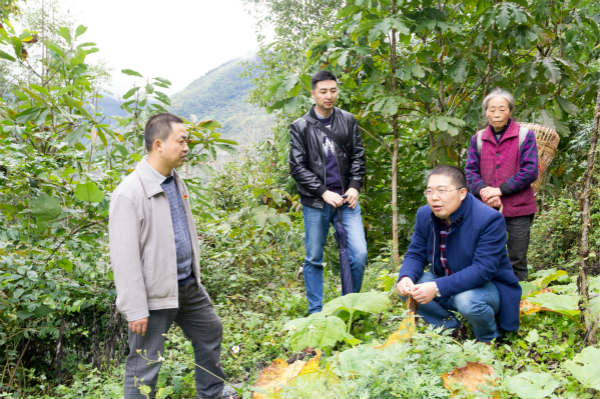 不忘初心 牢記使命 三下白羊鄉(xiāng) 助力農(nóng)村產(chǎn)業(yè)邁出新步伐！