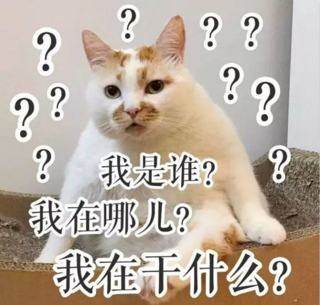 雙十一最新熱詞出爐，快來看看你有沒有中槍？