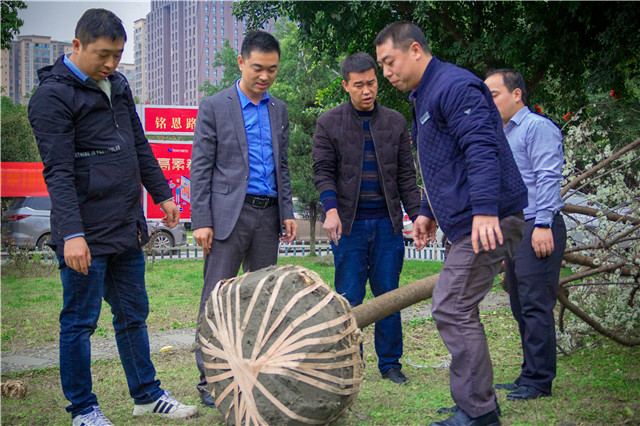 植樹節(jié)，在夢想的地方栽下希望的綠色！