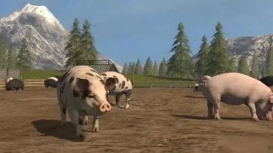 下一個(gè)30年，屬于用好互聯(lián)網(wǎng)的人