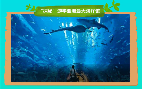 五一去哪兒？新華IT夏令營(yíng)嗨爆小長(zhǎng)假！