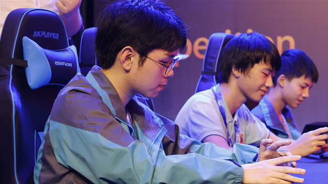 我院應(yīng)邀參加第十七屆中國國際軟件合作洽談會(huì)