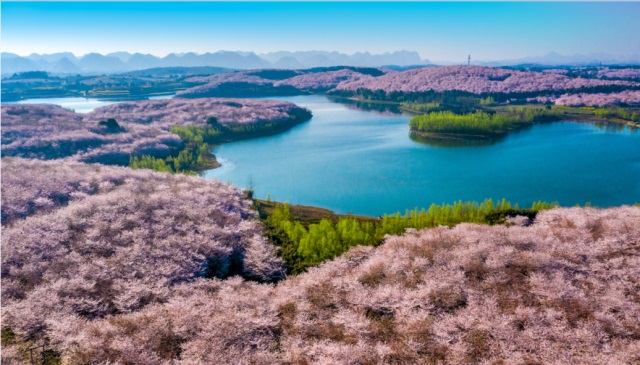 無(wú)人機(jī)“飛手”就業(yè)前景全解析！