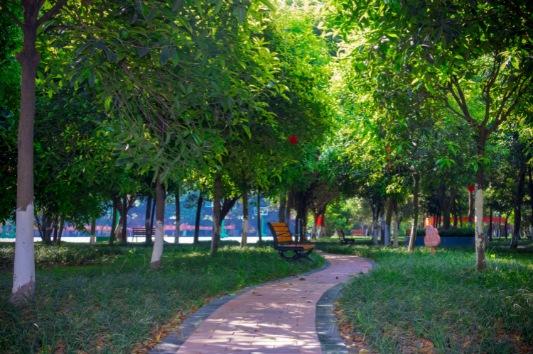 擇校心不慌 明星來探路！這份攻略你一定要看一下！