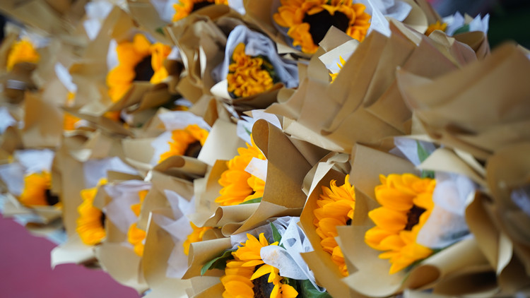 致敬“最美新華人” 平凡的守護人！