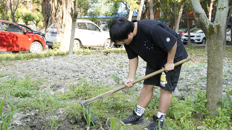 新風(fēng)采新青年|寓教于“種”，新攀高峰