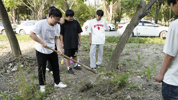 新風(fēng)采新青年|寓教于“種”，新攀高峰