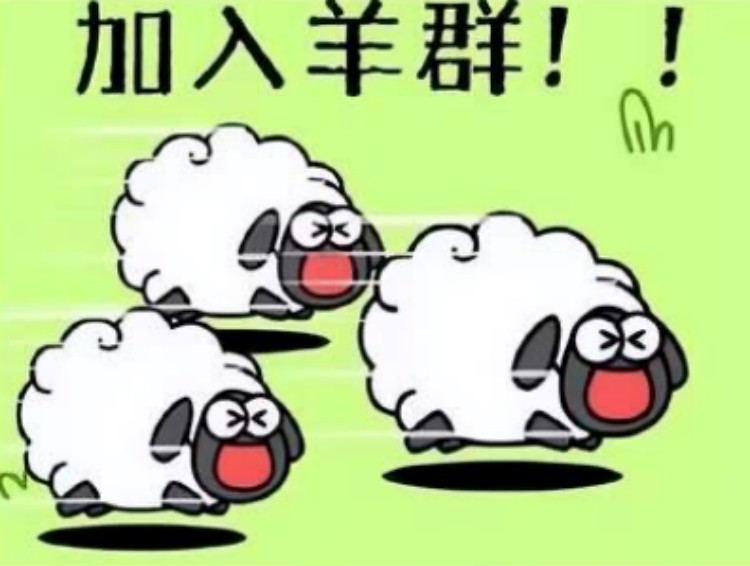 羊了個羊？成都新華四步帶你無限通關(guān)！