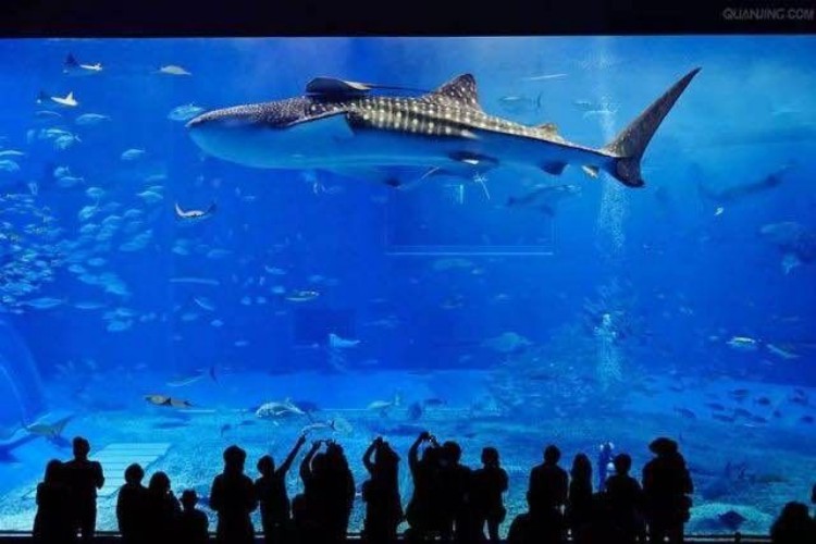 成都旅游攻略，這些景點你知道嗎？