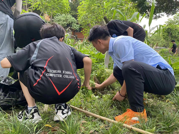 就業(yè)不迷茫！把孩子交給新華，您就放心吧