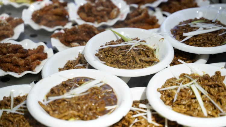 同學(xué)們深夜慎點(diǎn)！“舌尖上的新華”來(lái)啦~