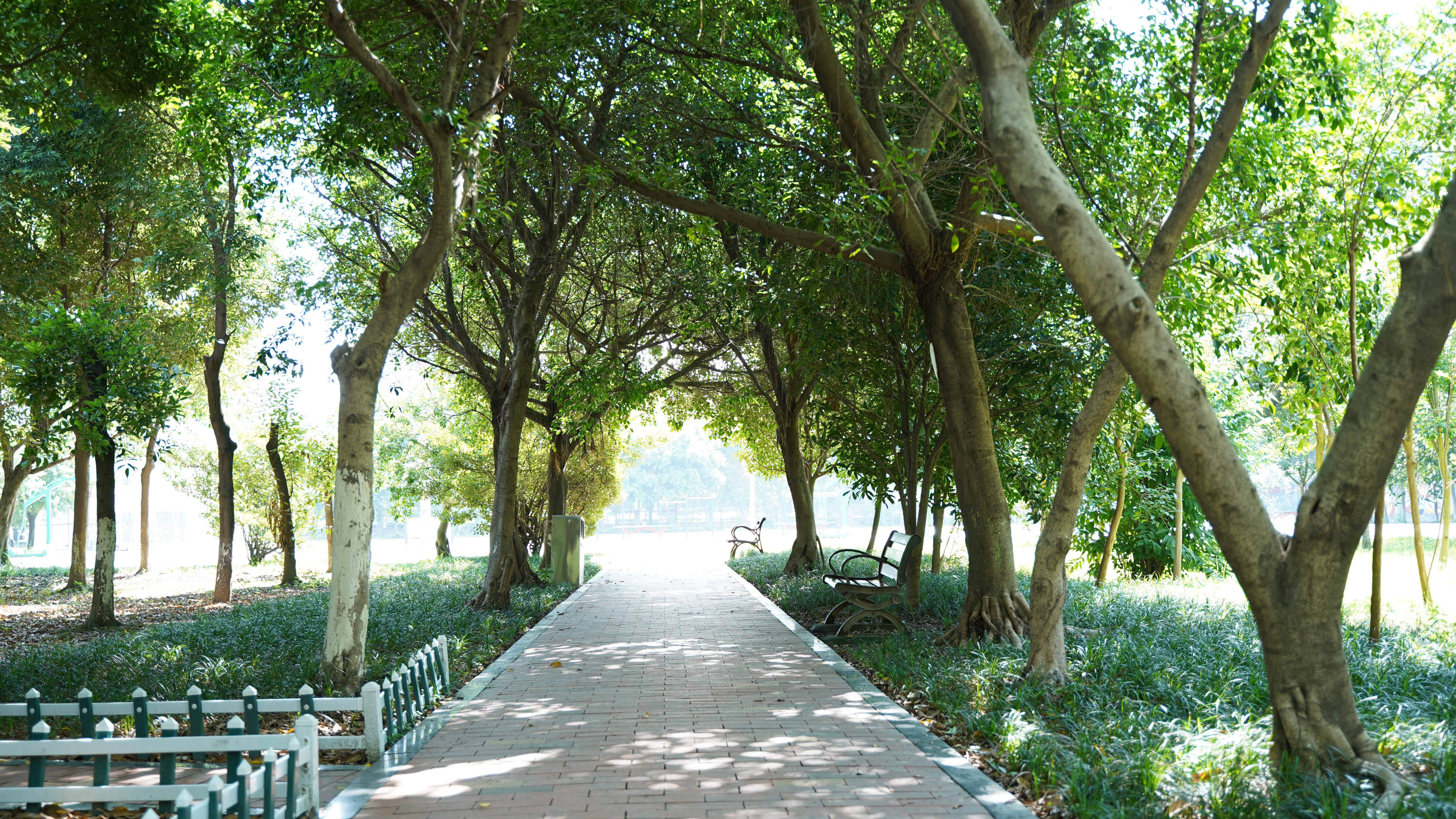 <b>考不上初中怎么選學校？</b>