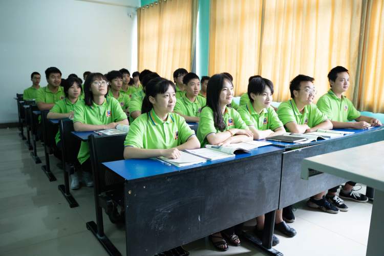 <b>職教的獨門秘籍：單招！</b>