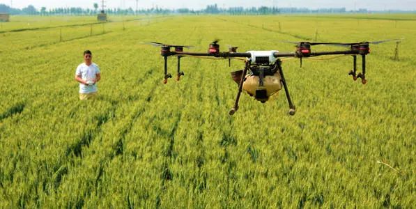 不想進(jìn)廠，學(xué)真技術(shù)，就好業(yè)