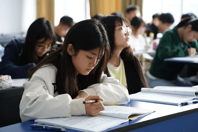 成都新華2024單招升學(xué)班開課啦！