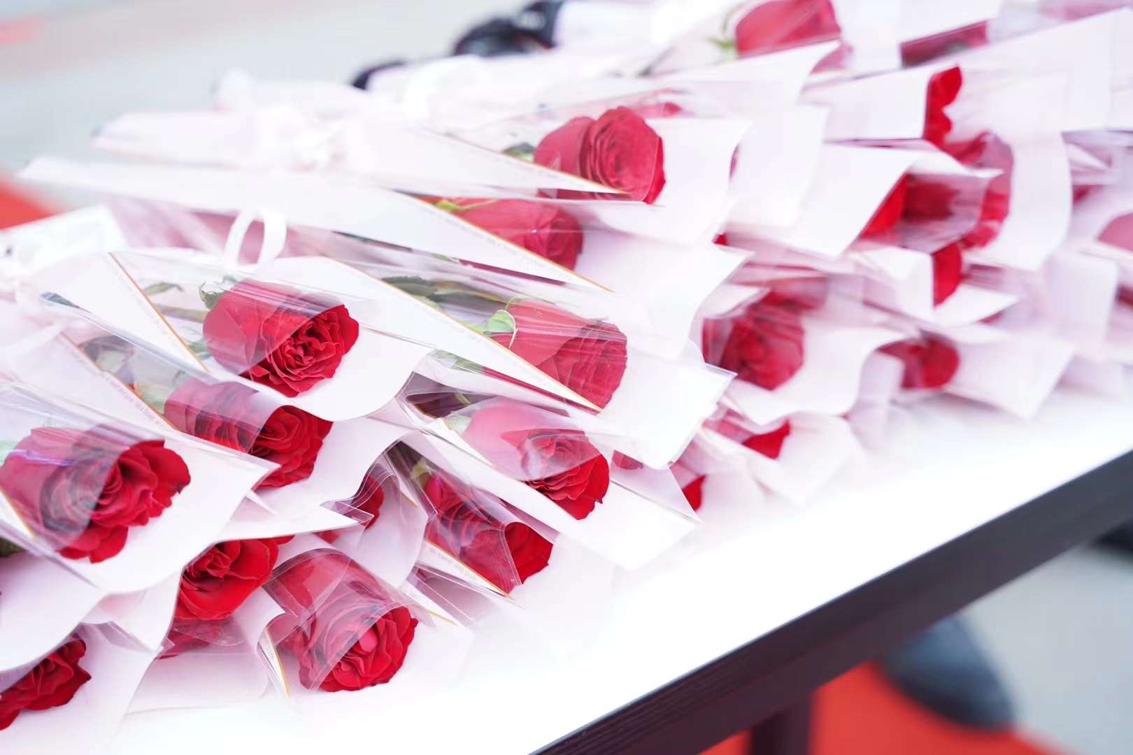 婦女節(jié)！獻給所有成都新華的女老師們