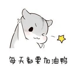 2024年成都新華秋季預(yù)科班火熱開啟！