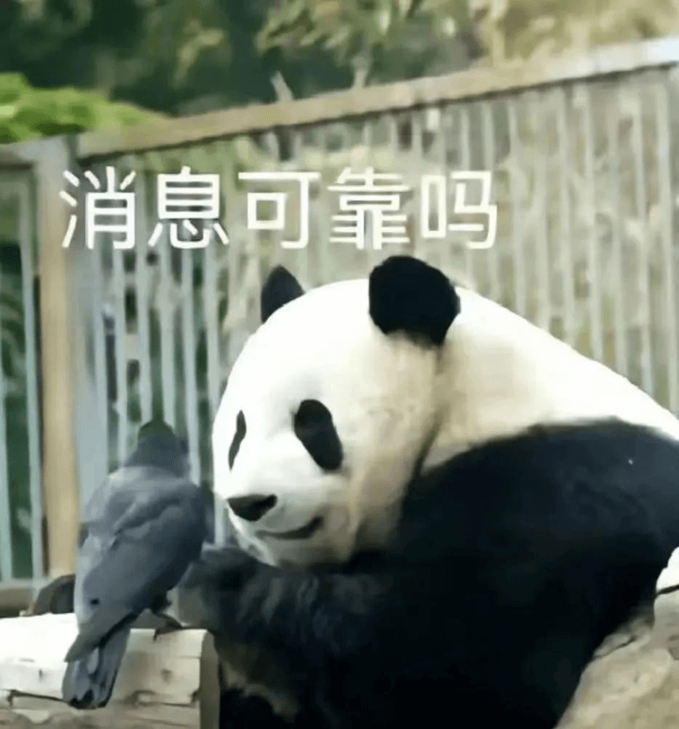 對(duì)口高考：升學(xué)壓力低，還可以沖本科