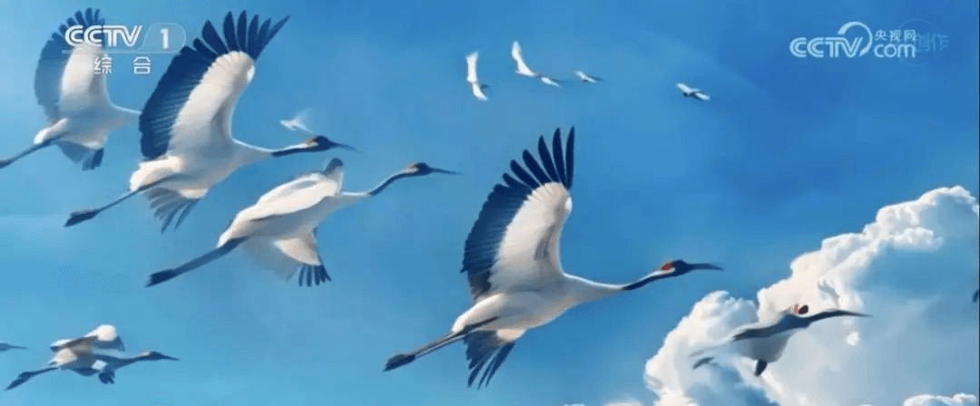 在就業(yè)形式嚴(yán)峻之下，新華這類人才卻被市場熱搶